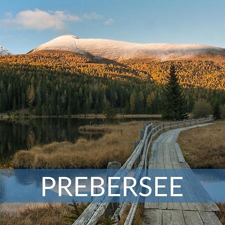 Heimathaus Dengg - Ferienwohnungen - Sommerfrische In Den Alpen Маутерндорф Екстериор снимка