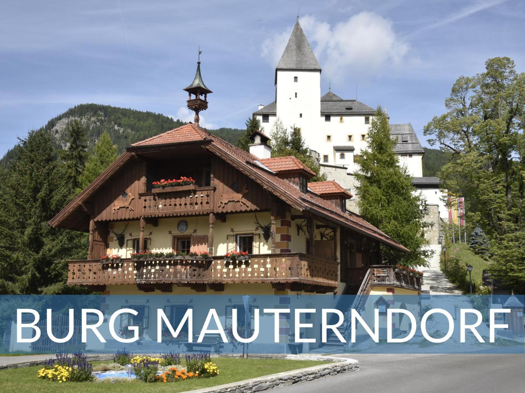 Heimathaus Dengg - Ferienwohnungen - Sommerfrische In Den Alpen Маутерндорф Екстериор снимка