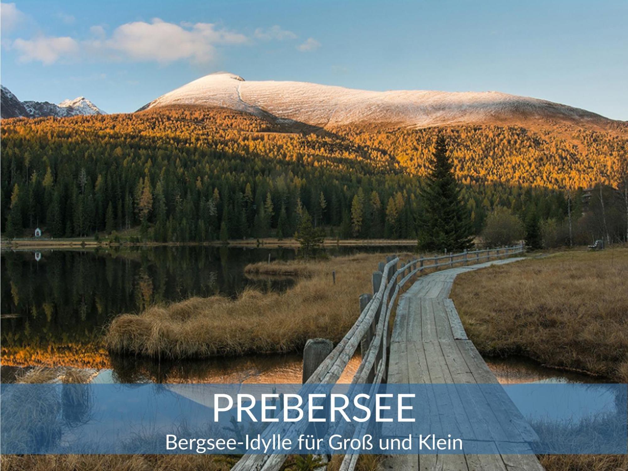 Heimathaus Dengg - Ferienwohnungen - Sommerfrische In Den Alpen Маутерндорф Екстериор снимка