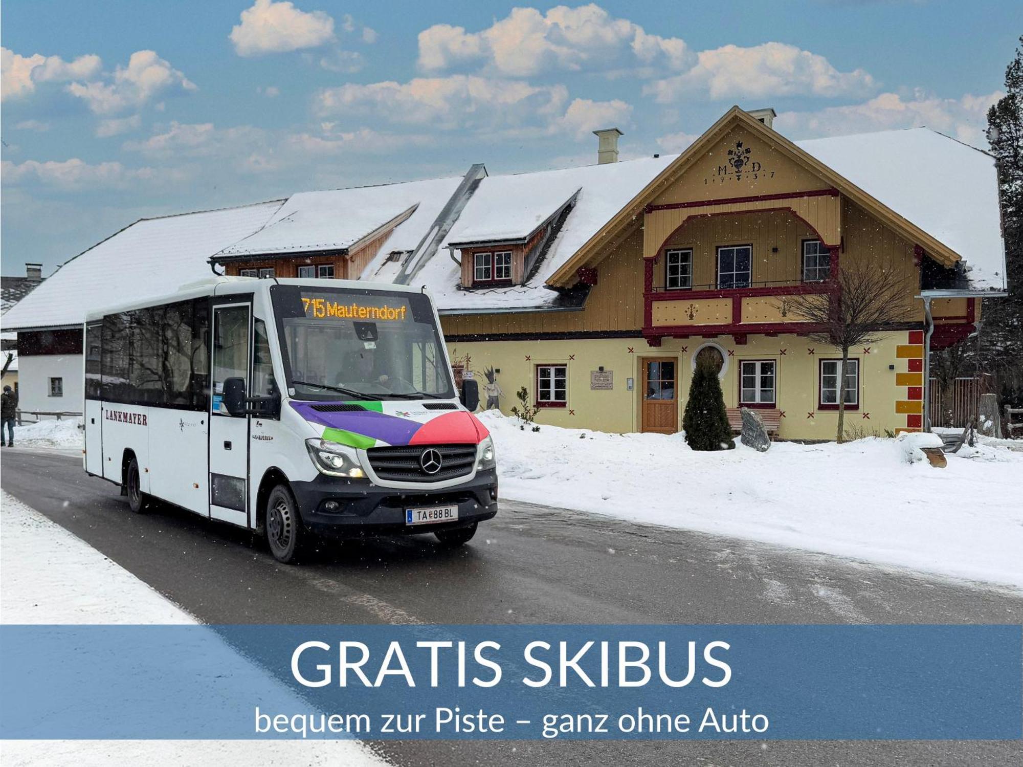 Heimathaus Dengg - Ferienwohnungen - Sommerfrische In Den Alpen Маутерндорф Екстериор снимка